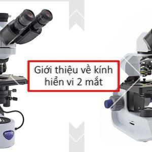 Gợi ý 5+ kính hiển vi 2 mắt nhập khẩu chính hãng được sử dụng nhiều nhất